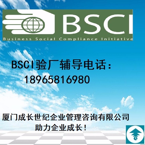 江西BSCI验厂南昌BSCI验厂九江BSCI验厂上饶BSCI验厂宜春BSCI验厂赣州BSCI验厂鹰潭BSCI验厂新余BSCI验厂景德镇BSCI验厂萍乡BSCI验厂电话：18965816980；